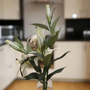  Apartment Pearl - Dalry House